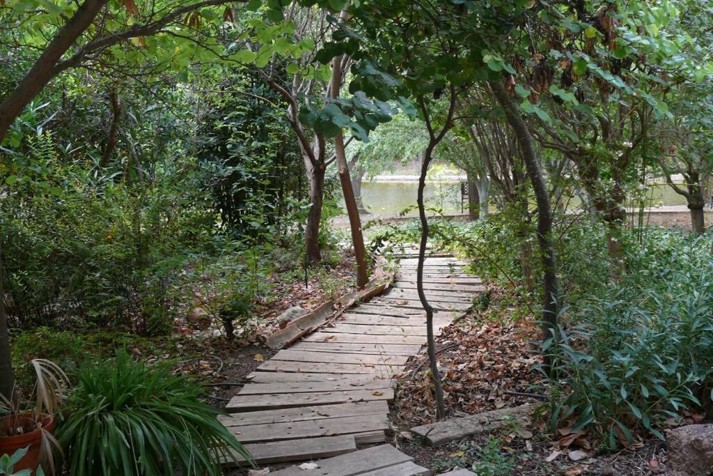 Casa En El Campo Con Encanto Almansa Εξωτερικό φωτογραφία