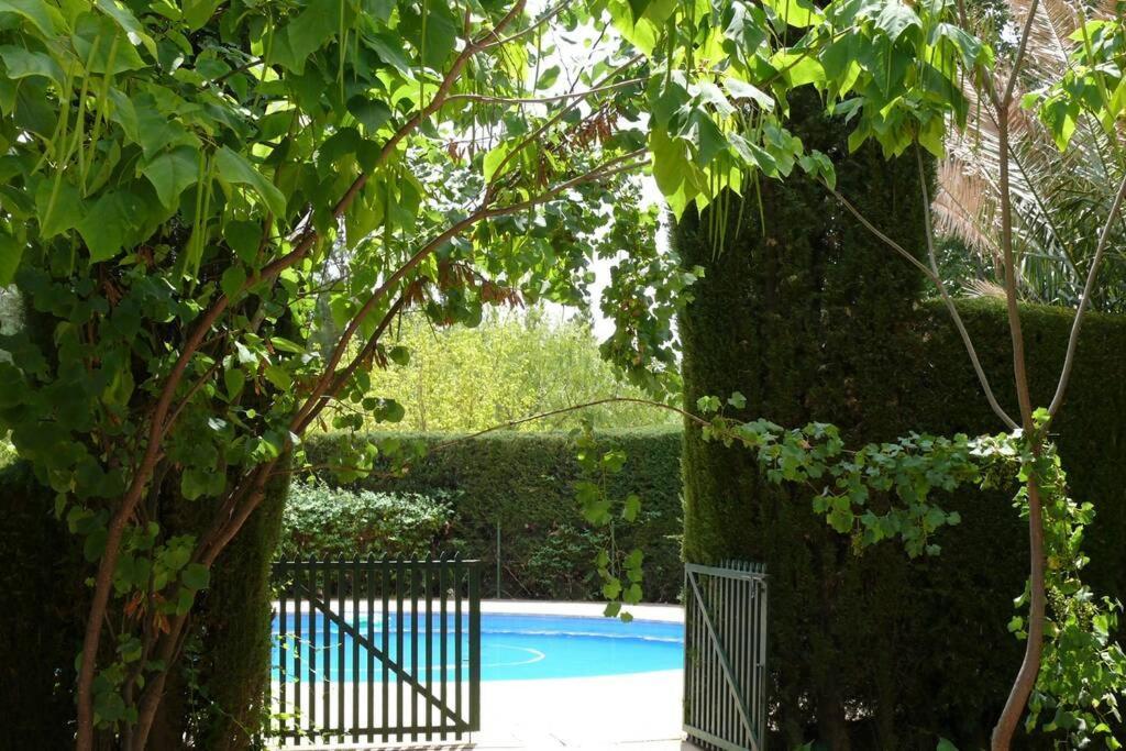 Casa En El Campo Con Encanto Almansa Εξωτερικό φωτογραφία