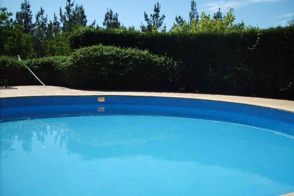 Casa En El Campo Con Encanto Almansa Εξωτερικό φωτογραφία