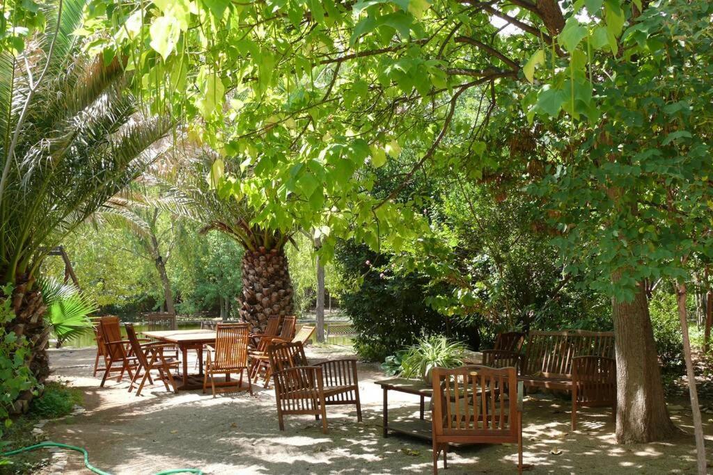 Casa En El Campo Con Encanto Almansa Εξωτερικό φωτογραφία